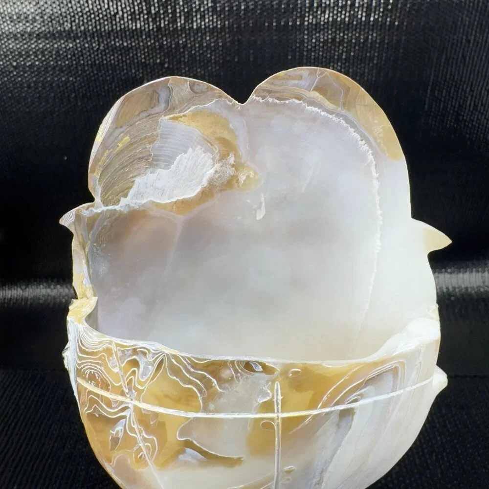 Vintage Mother of Pearl Nautalis Shell Footed Vase‎ Shiny Finish Hand Made Vase